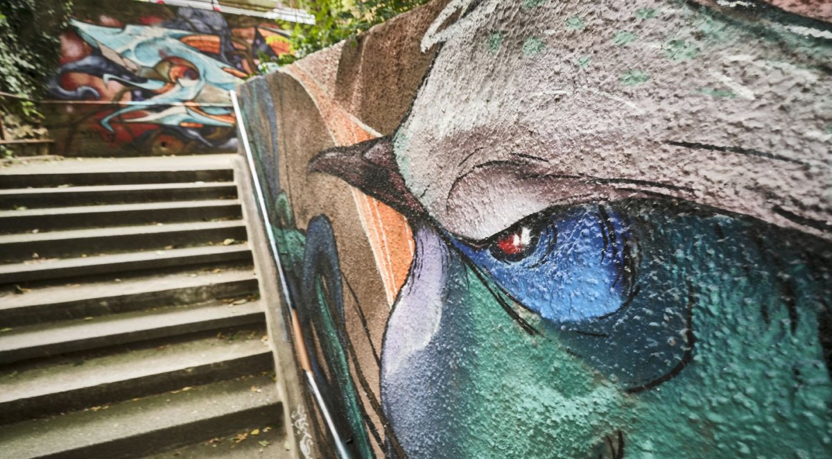 Die Falkertstaffel im Rückblick. Die Falkertstaffel im Rückblick.