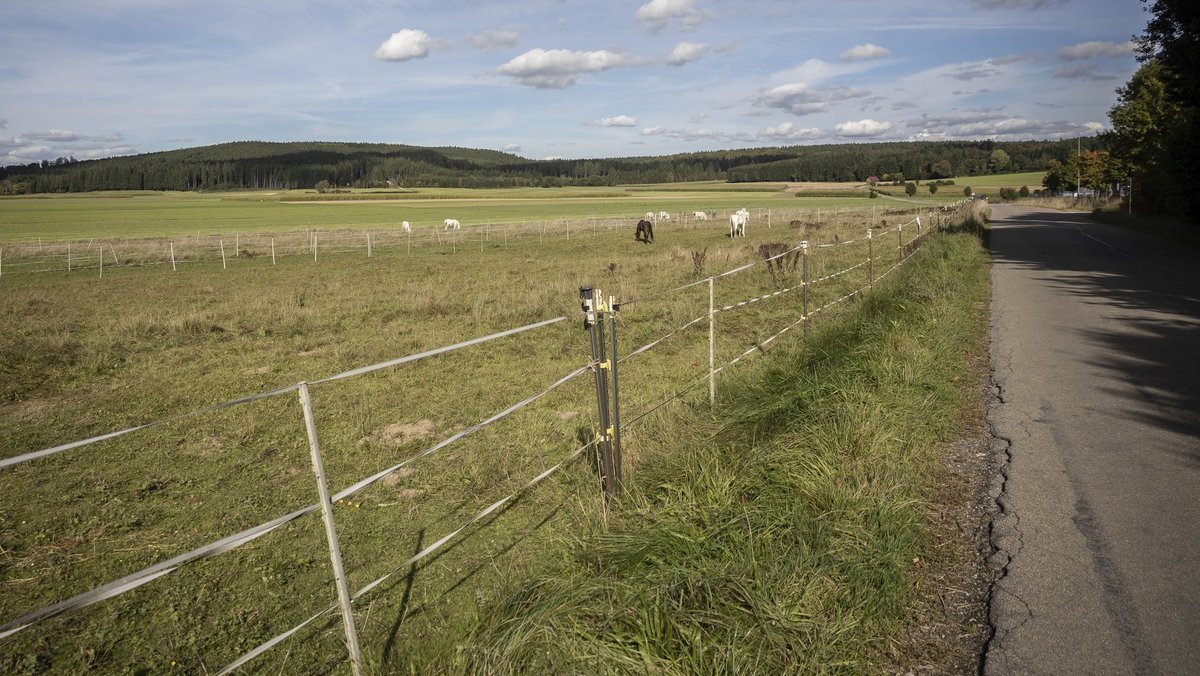 ... während gegenüber die Pferde grasten. Schöne Gegend. ... während gegenüber die Pferde grasten. Schöne Gegend.