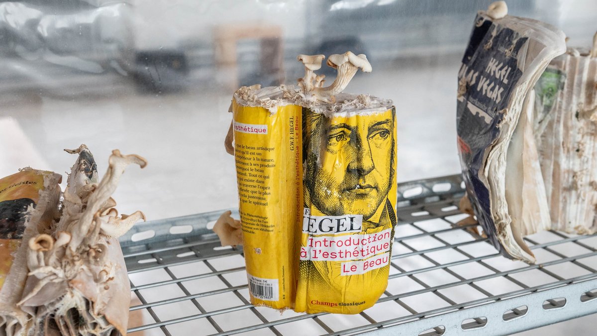 Geistespilze entspringen der französischen Ausgabe von Hegels Einführung in die Ästhetik. Mehr Hegel mit Austernseitlingen per Klick auf den Pfeil.