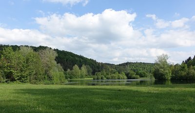 Gestrandet auf der Alb, genauer: am Mägerkinger See. Foto: Franzfoto, CC BY-SA 3.0