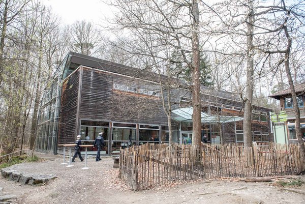 Symbolischer grüner Ort, zu dem man eigentlich nicht mit dem Auto fahren darf. 