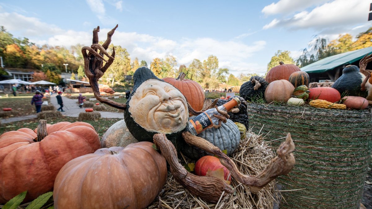 Kunstfertig geschnitzt: Dieser trinkfreudige Gnom hatte wohl etwas zu viel Kürbissecco. Mehr Bilder von der Ausstellung gibt es mit Klick auf den Pfeil. Kunstfertig geschnitzt: Dieser trinkfreudige Gnom hatte wohl etwas zu viel Kürbissecco. Mehr Bilder von der Ausstellung gibt es mit Klick auf den Pfeil.