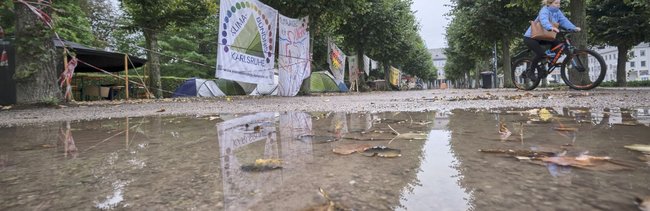 Die Stadt als Schwamm
