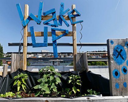 Und wirbt für Urban Gardening. Hier Pflänzchen der "Ebene 0" des Züblin-Parkhauses, Stuttgart-Mitte. Foto: Joachim E. Röttgers