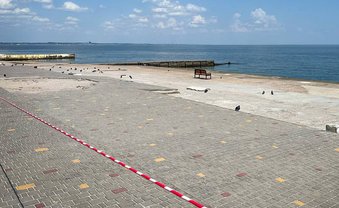 Ein gestohlener Sommer im Krieg