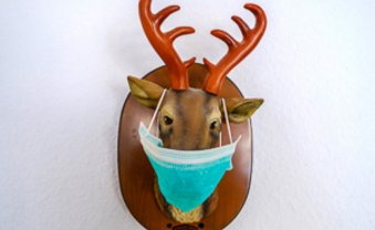 Rebellion im Heimatbund