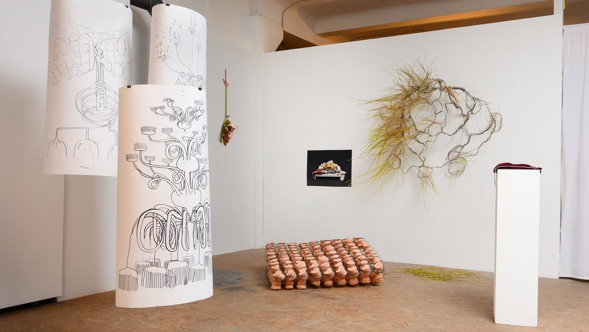 Pflanzlich-künstliche Objekte und Zeichnungen von Renate Liebel. Foto: Ulrike Reichart