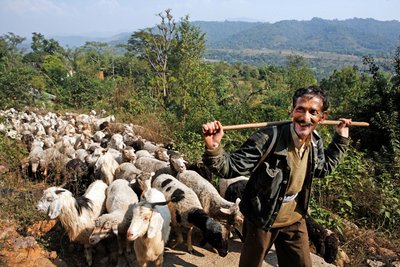 Tiere sind in vielen Regionen wichtige Nahrungslieferanten. Foto: Joachim E. Röttgers