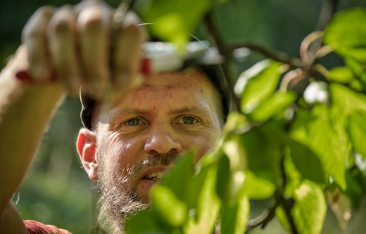 Wildnis zurückschneiden, das kann Florian Hurtig anscheinend auch.