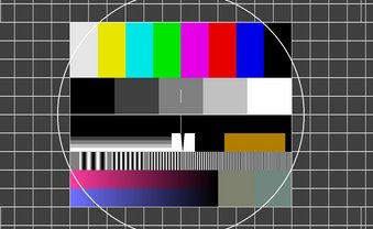 Who the fuck is Werte-Union