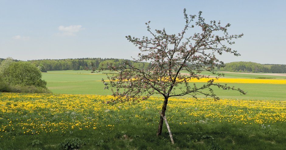 In Oberschwaben gibt's nicht nur blühende Landschaften, sondern auch Kiesgruben. Foto: Claudio Hils