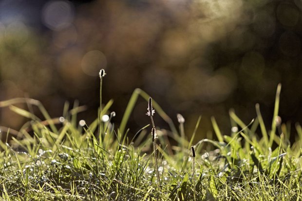 In Stuttgart gibt es sogar Stellen, an denen keinerlei Autos fahren.