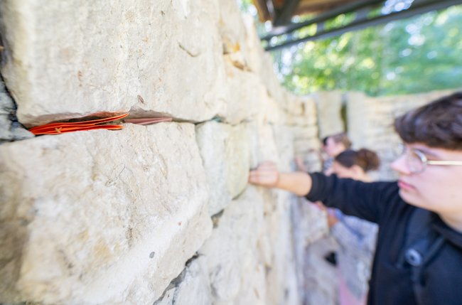 Mauer an der Gedenkstätte. In den Fugen stecken Zettel mit Gedanken von Besucher:innen. Foto: Jens Volle