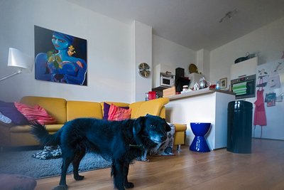 Da fällt der Stuttgarter vom Glauben ab: Mannheimer Sozialwohnung am Turleyplatz.