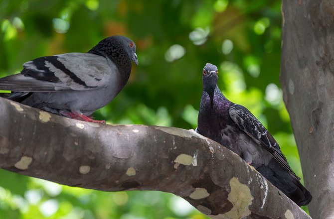 Kühles Idyll in der Sommerhitze des Stuttgarter Kessels.