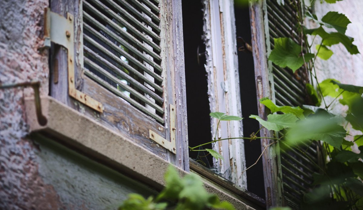 Da wächst der Wein direkt ins Wohnzimmer.  Da wächst der Wein direkt ins Wohnzimmer.