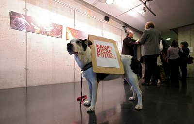 Redaktionshund Bert läuft Werbung. Foto: Joachim E. Röttgers