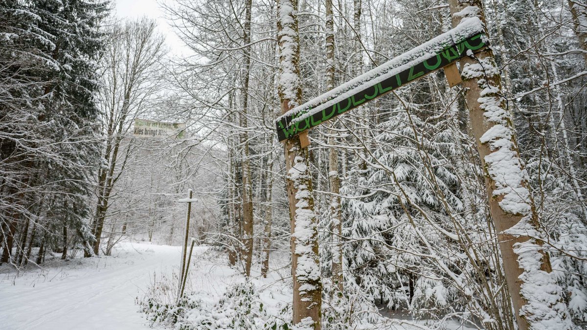 ... und noch stiller als sonst – über Nacht fielen mehrere Zentimeter Neuschnee, er dämpft alle Geräusche.
