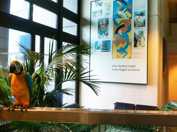 Immer noch schmückt der SWR sein Stuttgarter Foyer mit Hajek-Erinnerungsstücken. Foto: privat