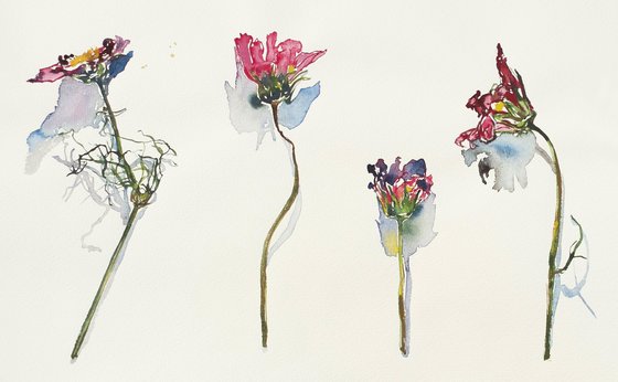 Verwelkte Blumen. Verwelkte Blumen.