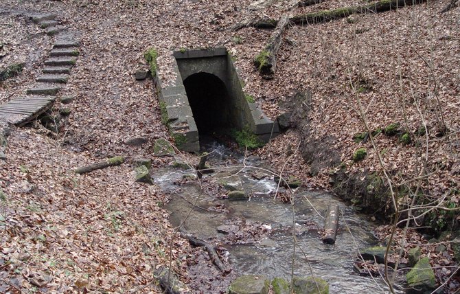 Die Heslacher Wasserfälle münden in der mannshohen Pfaffendole – auch sie ein Versteck.
