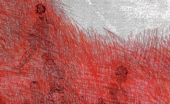 Ich trinke Jägermeister