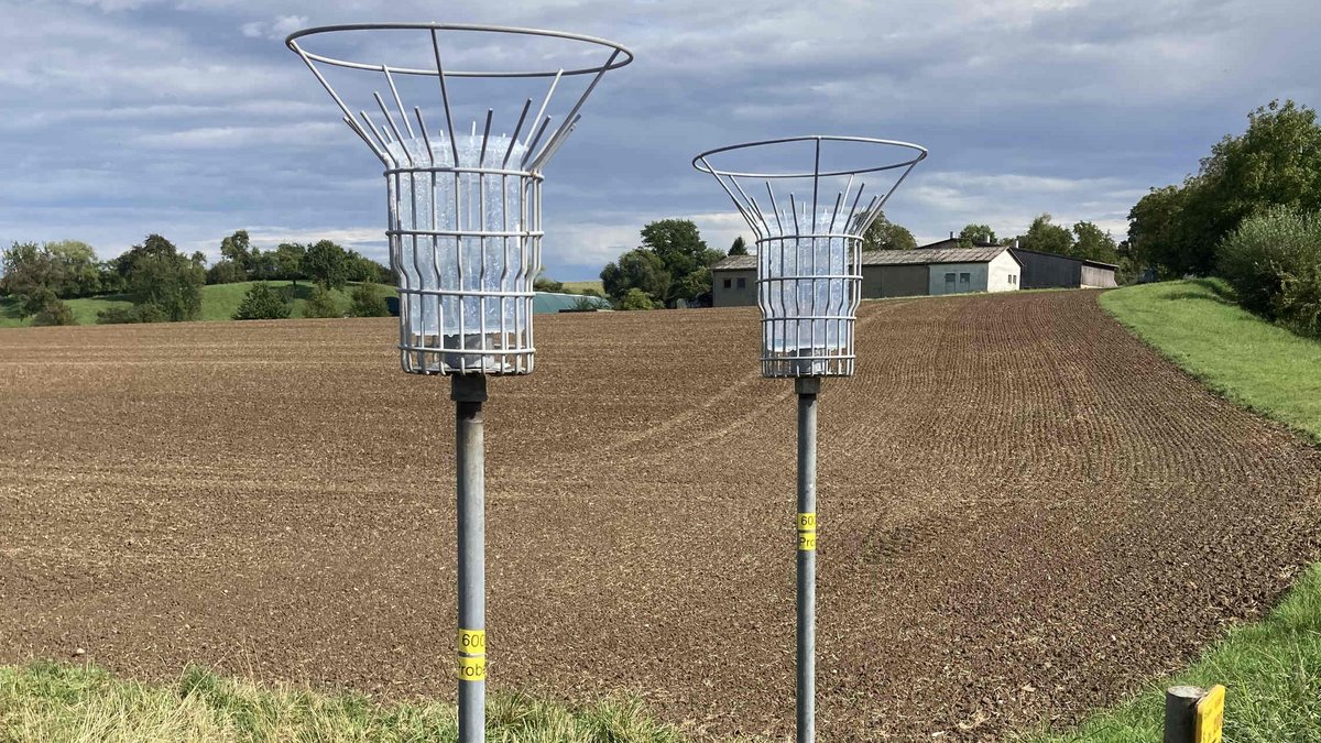 Kommt das TFA auch aus der Luft? Auf den Höhen um Bad Wimpfen laufen Messungen an. Foto: Gunter Haug