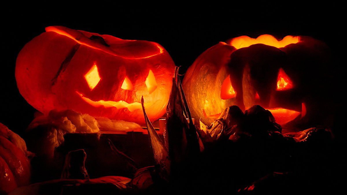 Hohlköpfe in Ludwigsburg – hier beim Kürbisfest. Foto: Thomas Bresson, CC BY 4.0, https://commons.wikimedia.org/w/index.php?curid=140143230 Hohlköpfe in Ludwigsburg – hier beim Kürbisfest. Foto: Thomas Bresson, CC BY 4.0, https://commons.wikimedia.org/w/index.php?curid=140143230