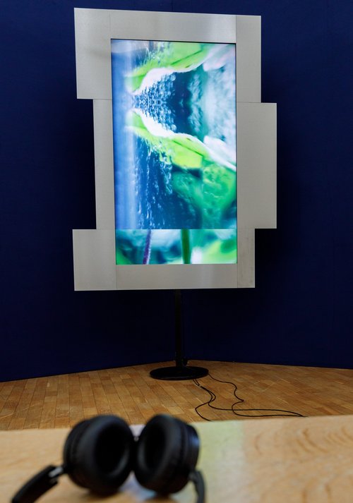 Die Ausstellung in Ulm präsentiert den aus PH-Werten von Böden gewonnenen Soundtrack von Saša Spačal. Foto: Robert Pupeter