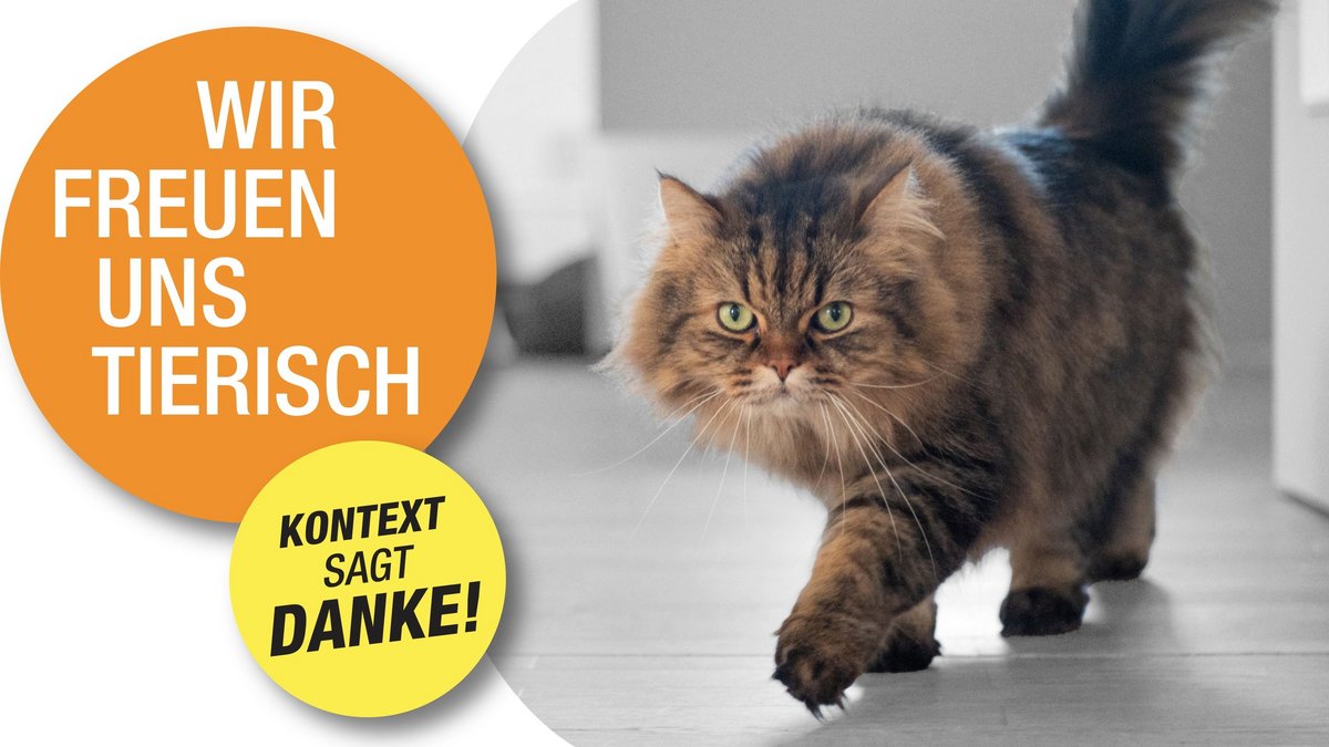 Foto: Jens Volle, Grafik: Susanne Wais