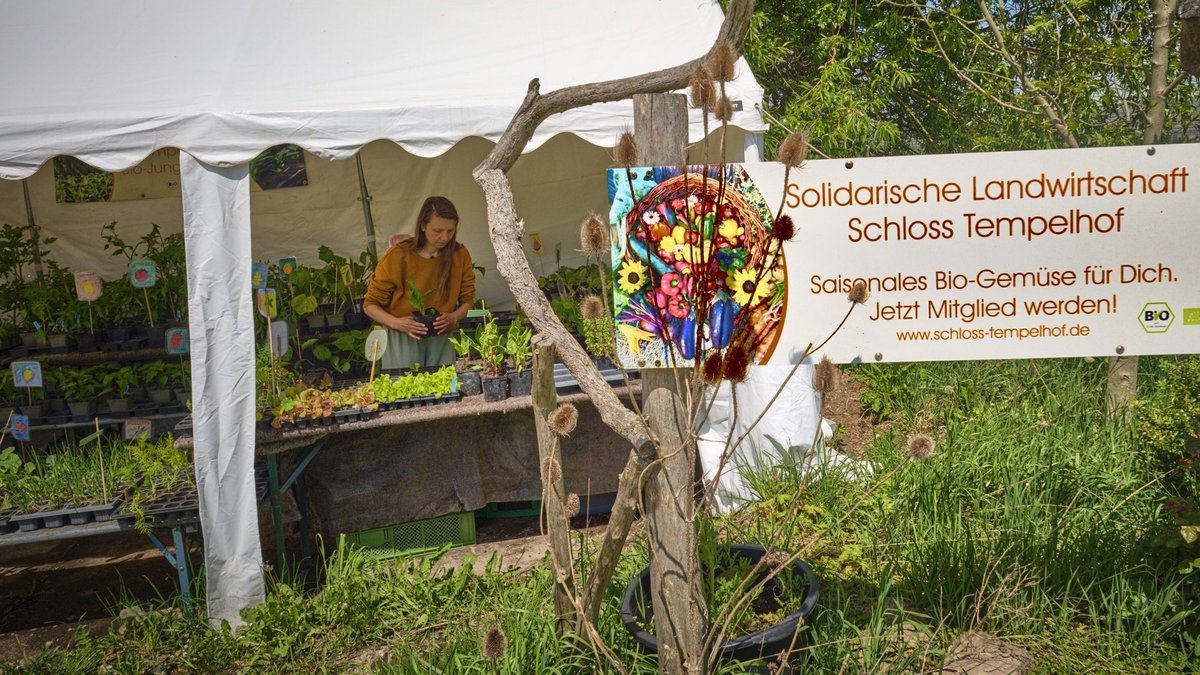 Und Solawi, bei der auch Leute von außerhalb mitmachen.
