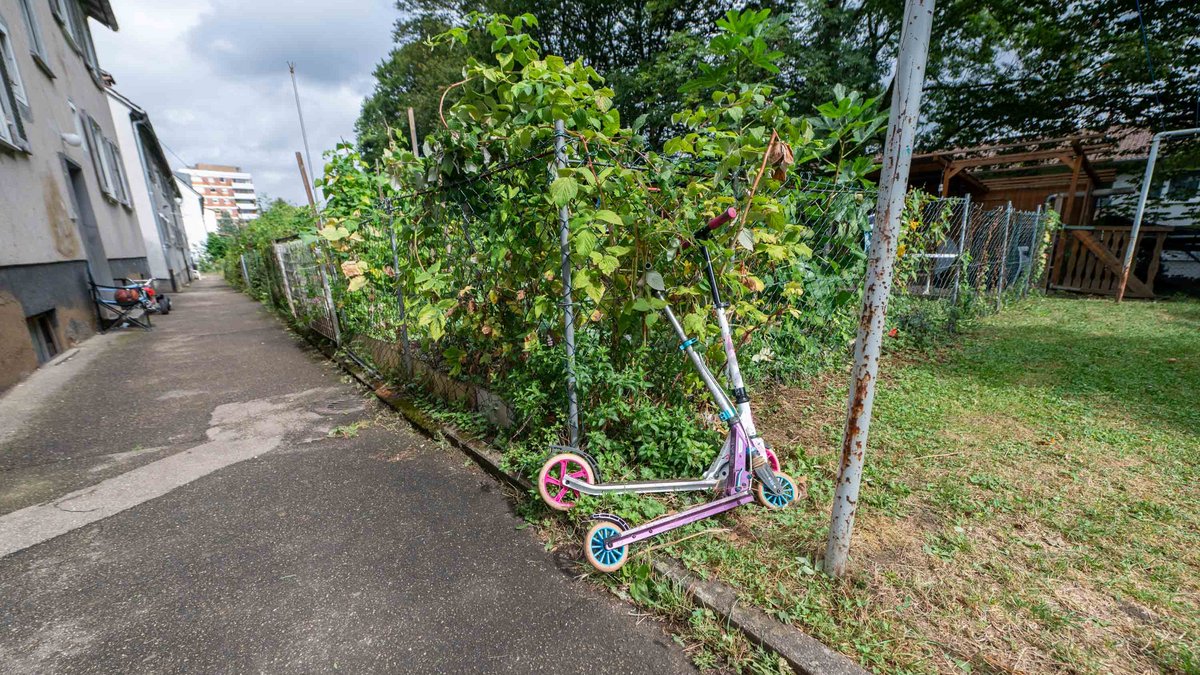 Hinter den Häusern: kleine Schrebergärten.