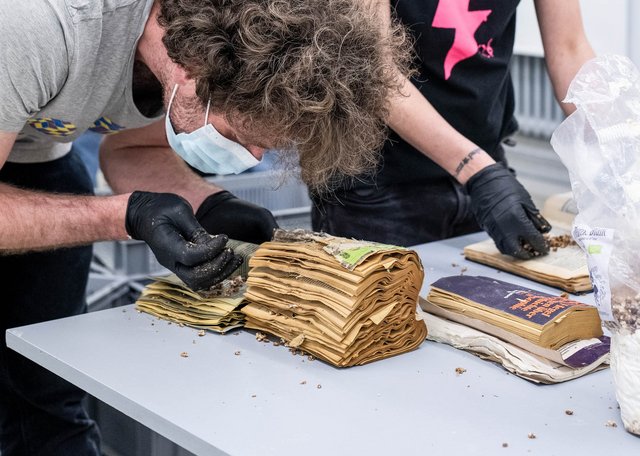 Nach dem Wässern werden Hegels Werke geimpft. Foto: Patricia Paryz