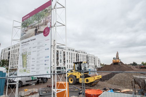 Hier soll es mal ein paar Bäume geben.  Hier soll es mal ein paar Bäume geben.