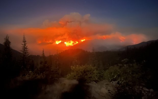 Tja, das neue Jahr wird wahrscheinlich ziemlich schwierig. Aber Kopf hoch, Bäume wachsen nach. Foto: Flickr, USDA Forest Service/Mike Waugh, Link