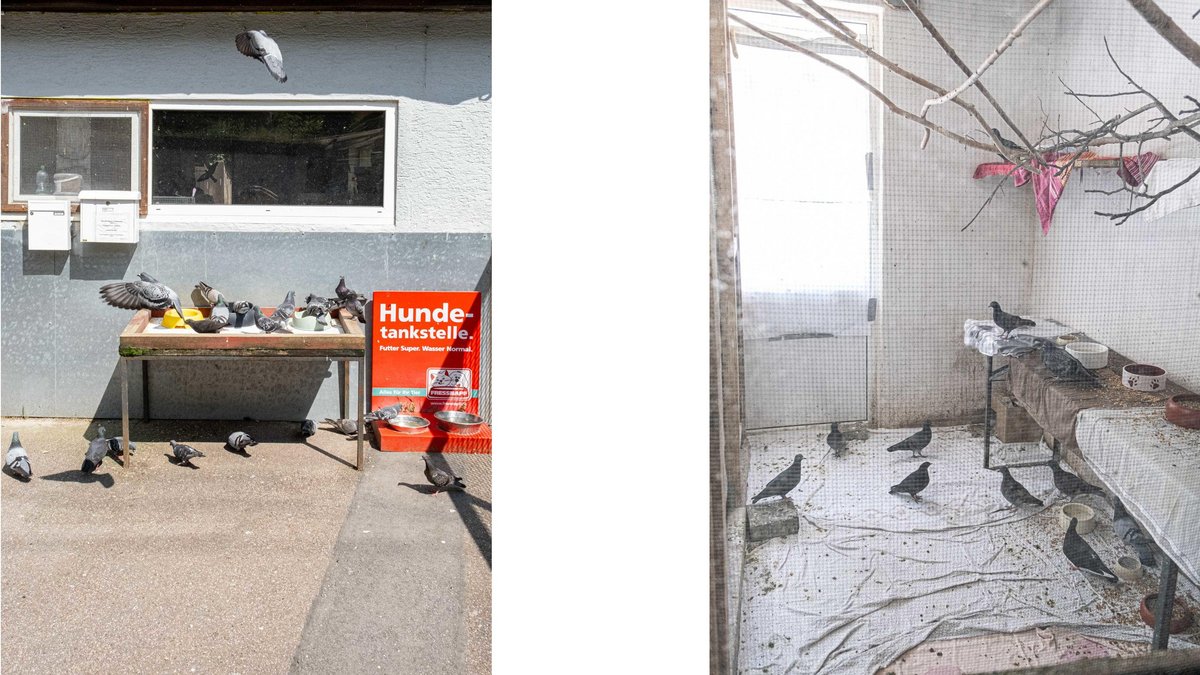 Ein Leben für Tiere