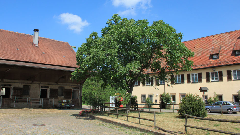 Knast-Weingut Staatsdomäne Hohrainhof. Foto: Steve Przybilla