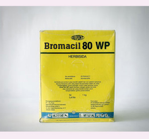 Wurde früher massenweise gegen Unkraut aufs Gleisbett gesprüht: Bromacil.